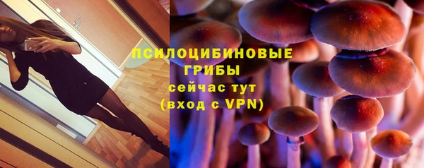 не бодяженный Вяземский