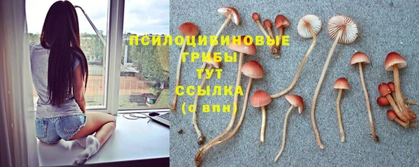 индика Волосово