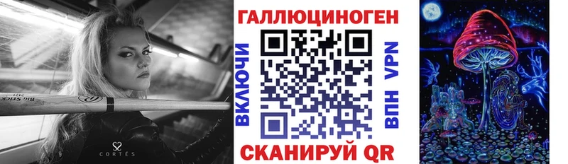 kraken как войти  Куровское  Псилоцибиновые грибы мицелий 